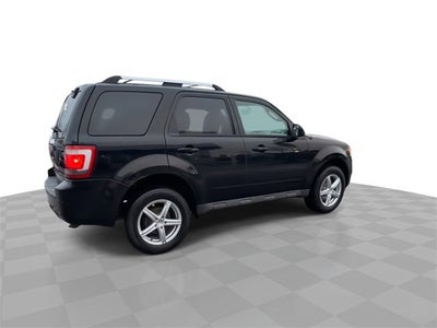 2010 Ford Escape Limited