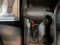 2017 Chevrolet Colorado 4WD WT